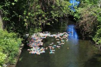 The ducks flowing downstream from a previous year’s Duck Derby.