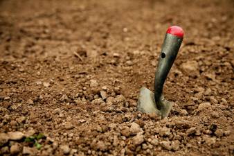 Students unearth mastodon remains