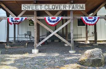 Screams of Whiskey, New Year’s Daze to perform on July 11 at Sweet Clover Farm