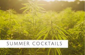 The Orange County Land Trust will host its summer cocktail benefit at the Warwick Valley Winery &amp; Distillery on Thursday, Aug. 22, from 6 to 9 p.m. The event will highlight Orange County’s growing hemp.