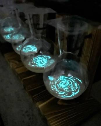 BioArt courses for all ages