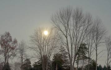 Full moon rising through the trees along County Route 1 near Pine Drive on Monday, November 7.
