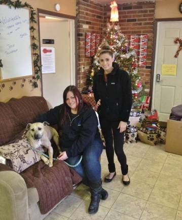 Director of Pets Alive in Middletown, Dottsie Perez, who is seated with Lollipop, an adorable and friendly 6-year-old mix breed, welcomes the donations from Kayla Scarane, right, owner of Scarlet's Way.