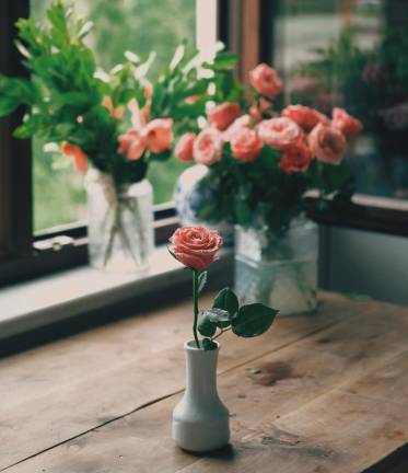 Warwick. Roses for veterans, senior citizens