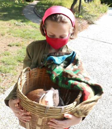 Anika Brezina, 11, brought her pet rabbit, Hershey.