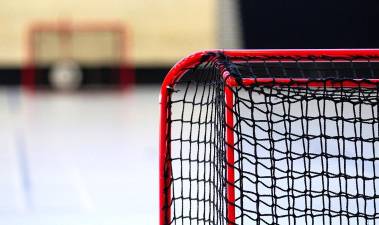 Grant could allow hockey rink to be covered, used all year