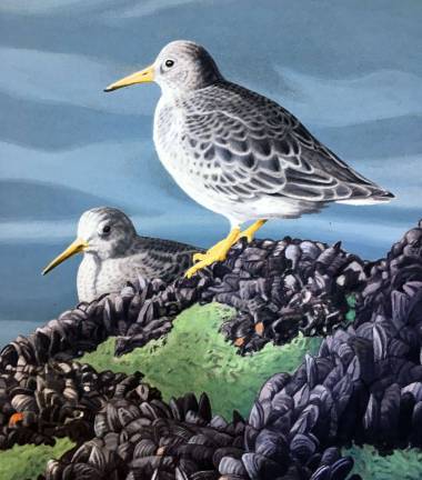 On Saturday, June 16, from 4 to 6 p.m., the Tuxedo Park Library will host Artist John Cameron Yrizarry for an afternoon tea as guests are welcome to enjoy displayed key pieces of his artwork that have been featured in books, nature field guides and posters commissioned by the Wildlife Conservation Society.