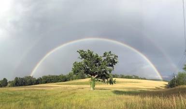 Janice Williams shared this photo she took after a torrential downpour on Wednesday, July 1, at 7 p.m., along Route 94 in Warwick at the entrance to Ochs Orchard.