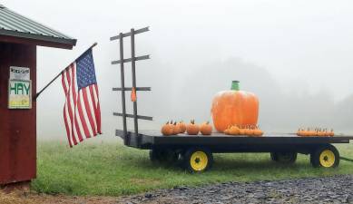 Pumpkins sit ready for sale at a roadside farm stand along County Route 1 in Warwick on a foggy Monday morning, Oct. 4. Photo by Robert G. Breese.
