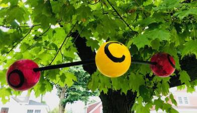 Trees on Main Street, at Albert Wisner Public Library and at Stanley Deming Park have been decorated with representations of the CO2 molecule to raise awareness about the role trees play within the environment.