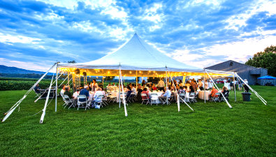 Guests gather at the The Pine Island Summer Social.