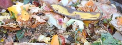 Food waste diversion initiative launched by Orange County