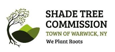 Tree Talk: Tree planting week