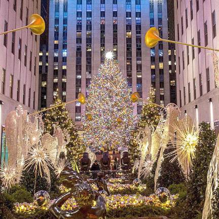 The tree that grew in Carol Schultz's front yard in Orange County now rises above Rockefeller Center, adorned with more than 50,000 multi-colored LEDS on approximately five miles of wire.