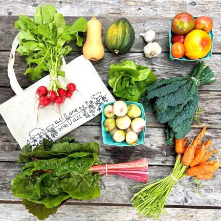 A selection of produce from AOOA Farm/