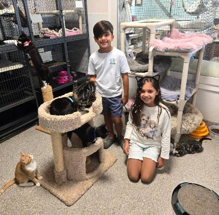 Zach and Chloe Theologis visit the Kittini Bottom kittens at the Warwick Valley Humane Society.