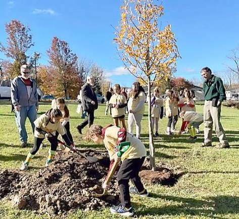 Tree planting as affirmation of Warwick commitment to natural environment