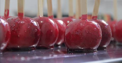 Warwick Valley Chamber of Commerce to host mixer at Candy Apple Shoppe