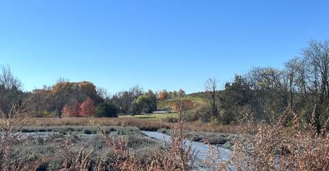 Area property marked for permanent preservation – www.warwickadvertiser.com