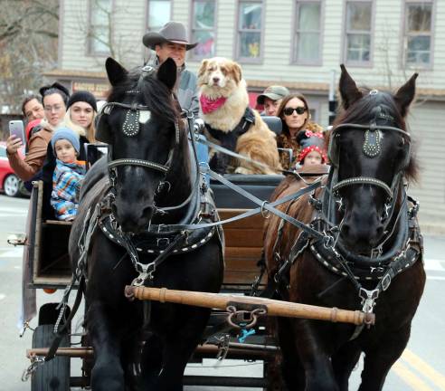 Sean Giery and his team of Percherons, Jack and Bob, were in the Village again with their mascot &#x201c;Butch,&#x201d; who enjoys riding shotgun. And visitors bundled up and took advantage throughout the day of a free horse and buggy ride through the village.
