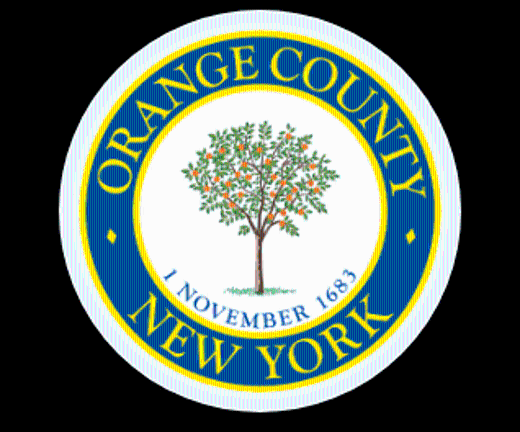 Two candidates vie for District 8 seat on Orange County Legislature