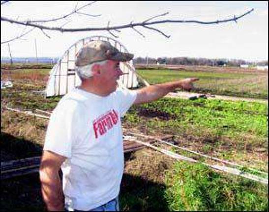Neighbors and volunteers help Pine Island farmer recover from Irene