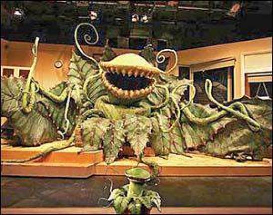 Film series features comedy classics