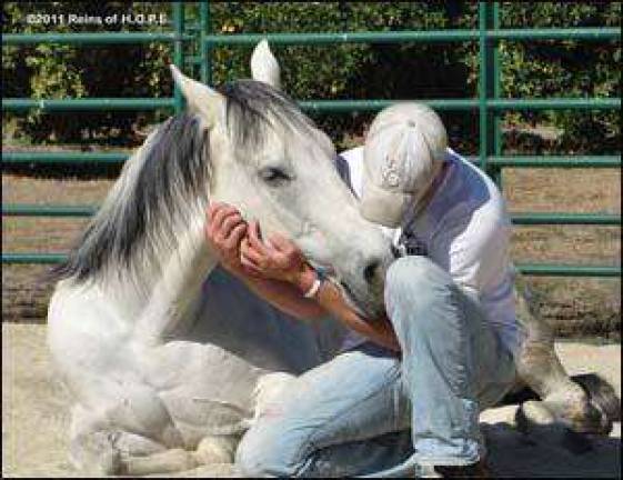 Find out how horses can help veterans heal this Sunday afternoon
