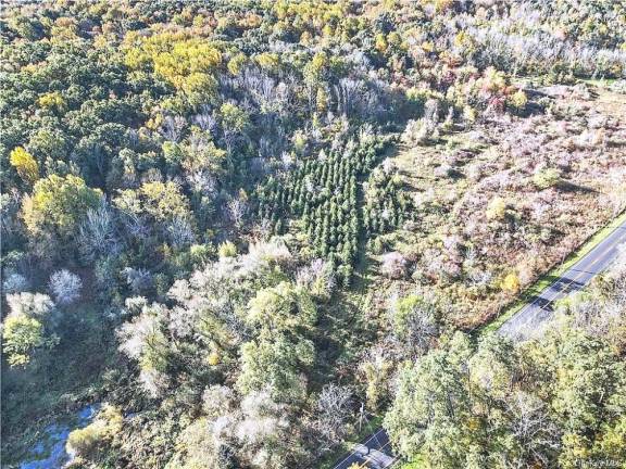 Forty forested acres for ground up home creation and seclusion