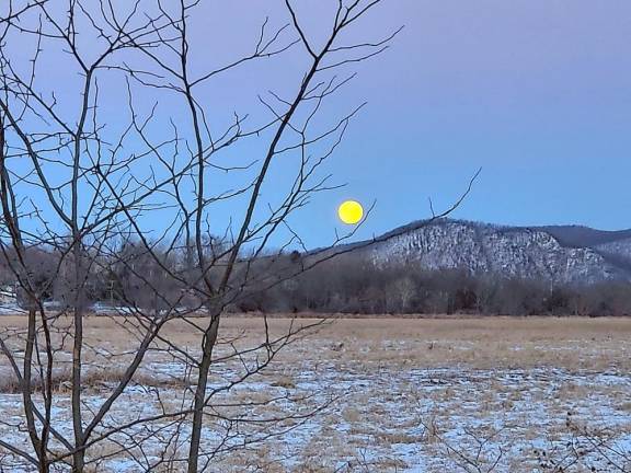 Kimberly Guglielmo shared this photo she took her phone (Samsung Galaxy S10) off Glenwood Road in Pine Island just after 5 p.m. on Jan. 28.