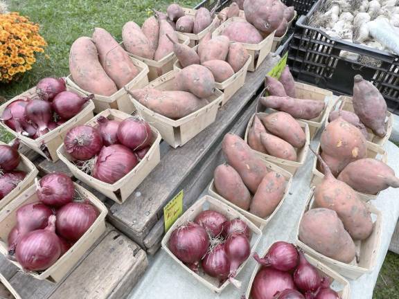 Purple onions and sweet potatoes