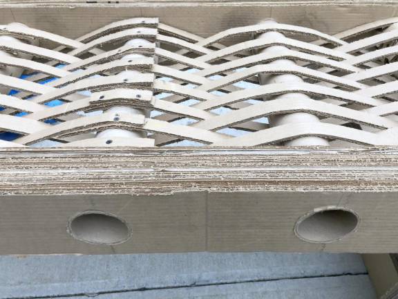 Students develop pedestrian bridge designs for class project