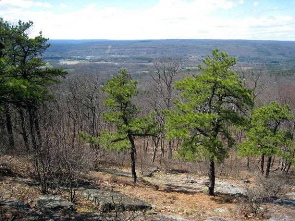 Conservation groups have purchase 87 acres in Greenville that will become part of a 25-mile, 10,000-acre greenway that will stretch from Minnewaska State Park in New Paltz to High Point State Park in New Jersey and connect to the Appalachian Trail.