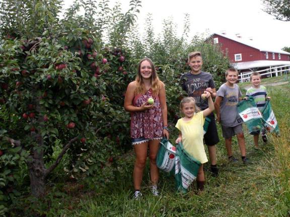 Photo provided by Orange County Tourism These youngsters pause for the camera during a pick-your-own adventure at Pennings Orchard in Warwick.