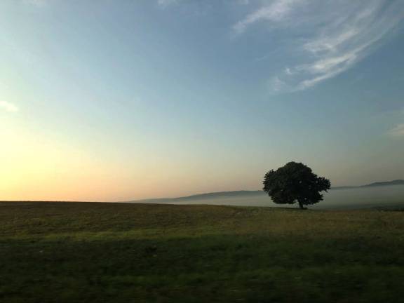 Sunrise