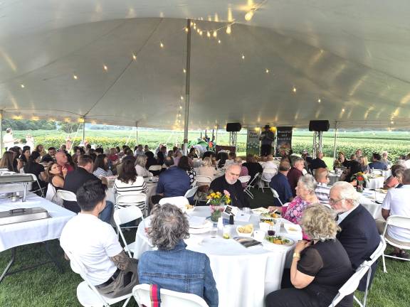 Guests gather at the The Pine Island Summer Social.