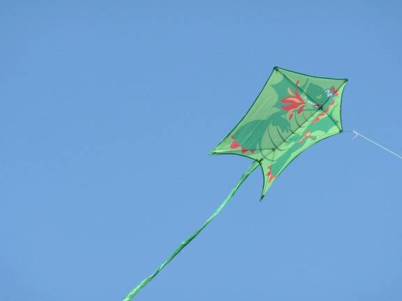 Kids &amp; Kites Day at Washington Headquarters