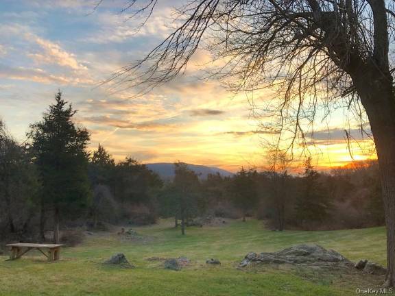 Single-family home rental