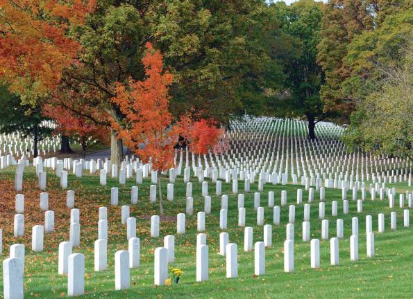 Photo provided by the Florida Historical Society Educator and historian Carolyn Ivanoff will guide you through a virtual tour of Arlington National Cemetery on Thursday, Nov. 2, as part of a fund raiser to benefit the Seward/Mapes Homestead Restoration in Florida.