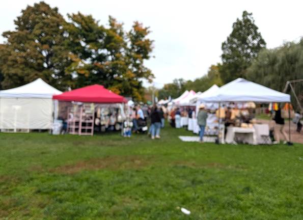 Applefest event featured more then 200 craft vendors, dozens of food vendors and 50 local non-profit exhibitors.