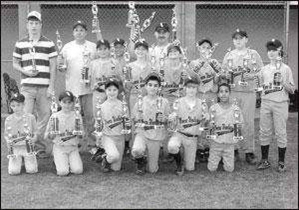 AL Champions