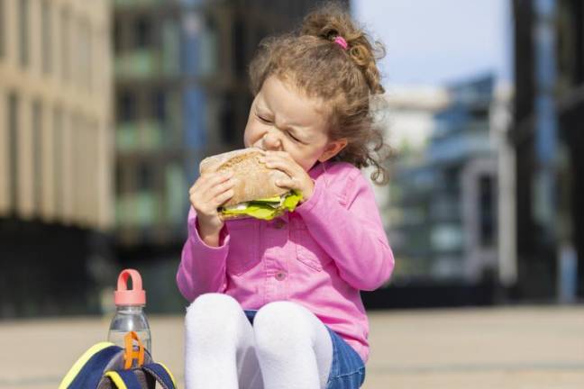 The ins and outs of school meals