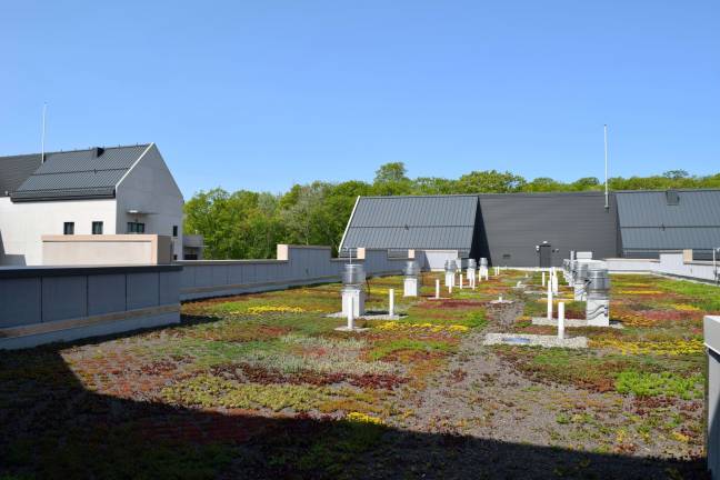 All of the flat roofs throughout the site are &quot;green roofs,&quot; with a growing medium that helps absorb moisture.