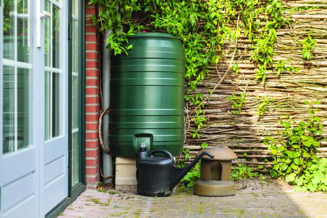 <b>A green rain barrel to collect rainwater and reusing it to water the paints and flowers in a backyard with a wattle fence made of willow branches on a sunny day</b>