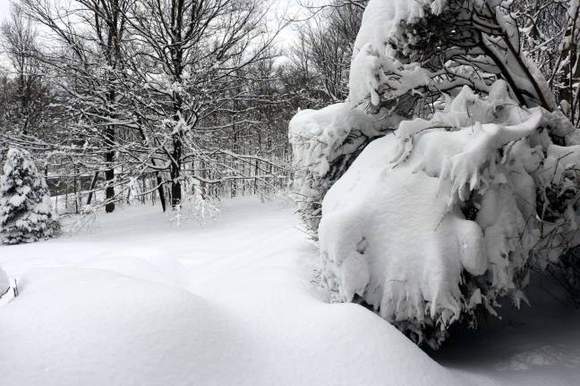 Photo by Roger Gavan Winter Storm Quinn left as much as 16 inches of new snow accumulation in Warwick.