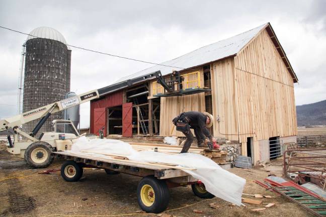 Photo by Robert G. Breese An Amish carpenter works on the renovation of a century-old barn on the Buckbee farm.