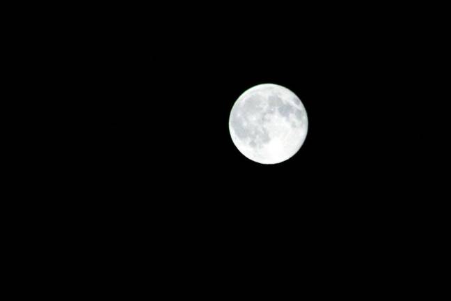 Photo by Gary Keeton Naturalist Gary Keeton will lead a Full Moon and Mars evening walk on Friday, July 27, from 7:45 to 9:30 p.m., at the Moonbeams Preserve located at 219 Prosperous Valley Road in the Town of Wallkill.