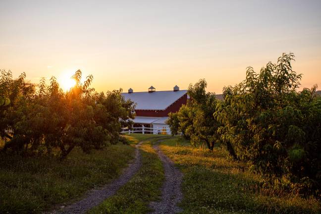 Pennings Farm Cidery in Warwick, NY celebrates their 10th anniversary.