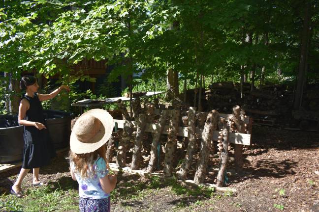 Tour-goers learn how Venjara grows shiitake mushrooms on logs. Photo: Becca Tucker