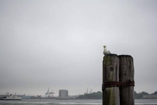 ‘Water Connects Us All’ poster contest announced